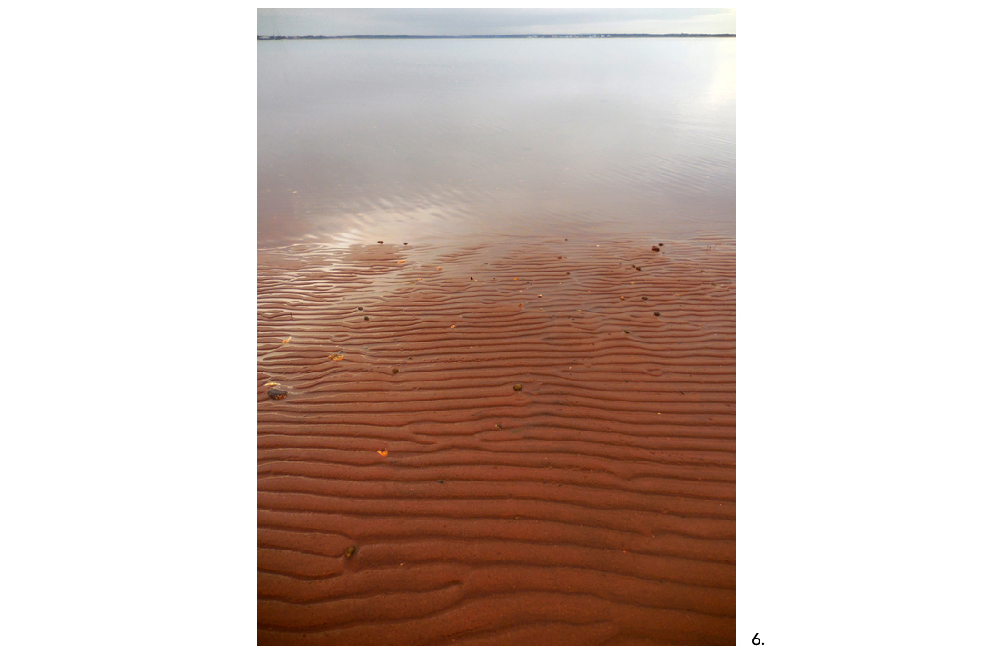 03C Walking Dunes Red Sand Ripples