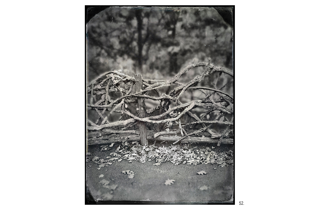 Olana Twig Fence