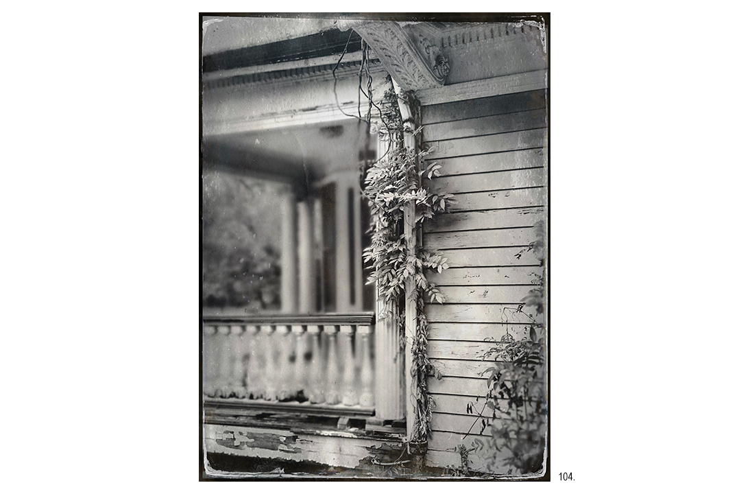 Garfield Place House Vines on Gutter Pipe