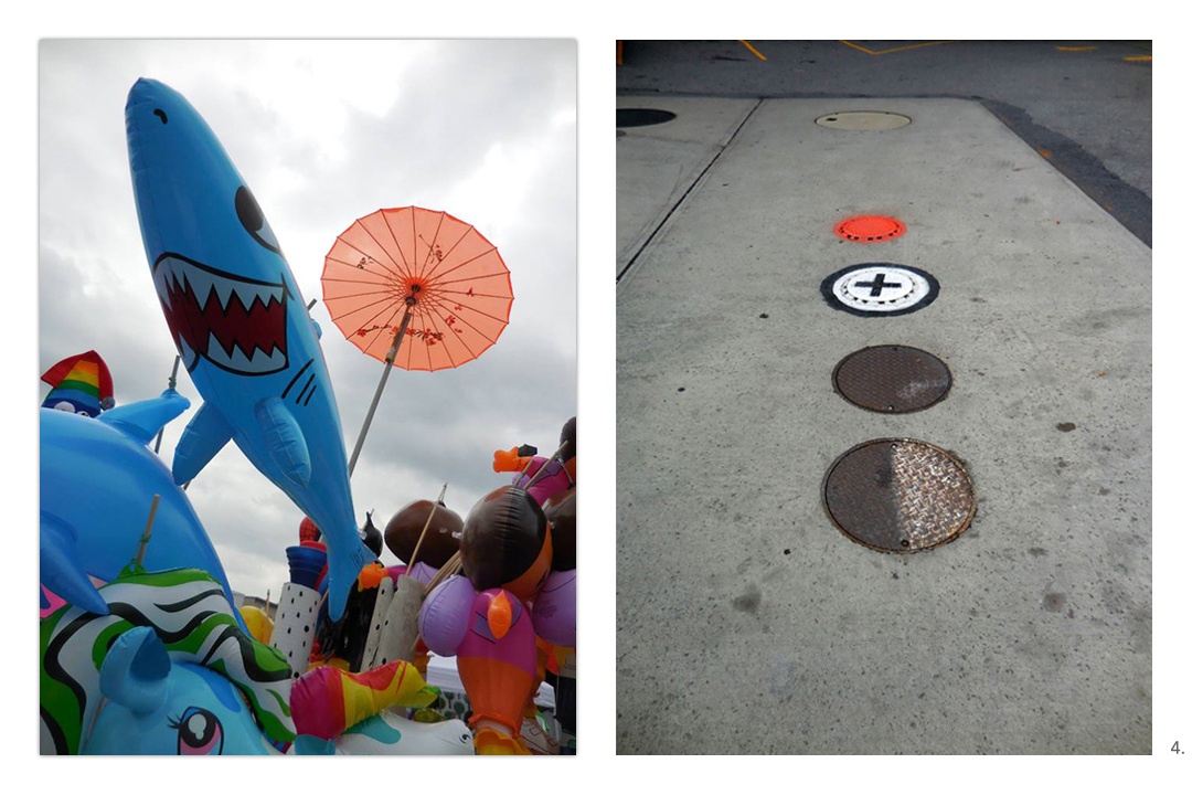 Shark Manhole Covers