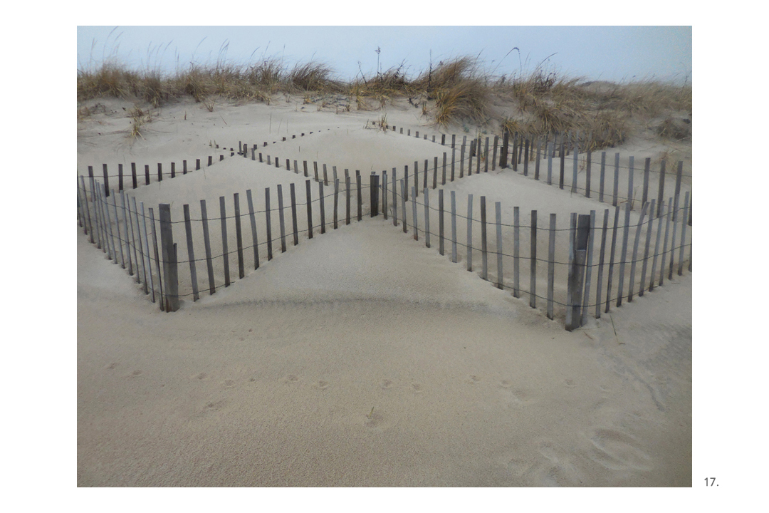 Beach Snow Fencing