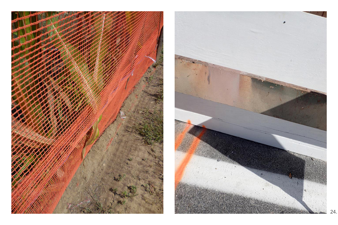 Corn Sawhorse Orange Lines