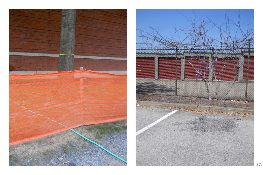 Orange Fencing Hose Wisteria Storage