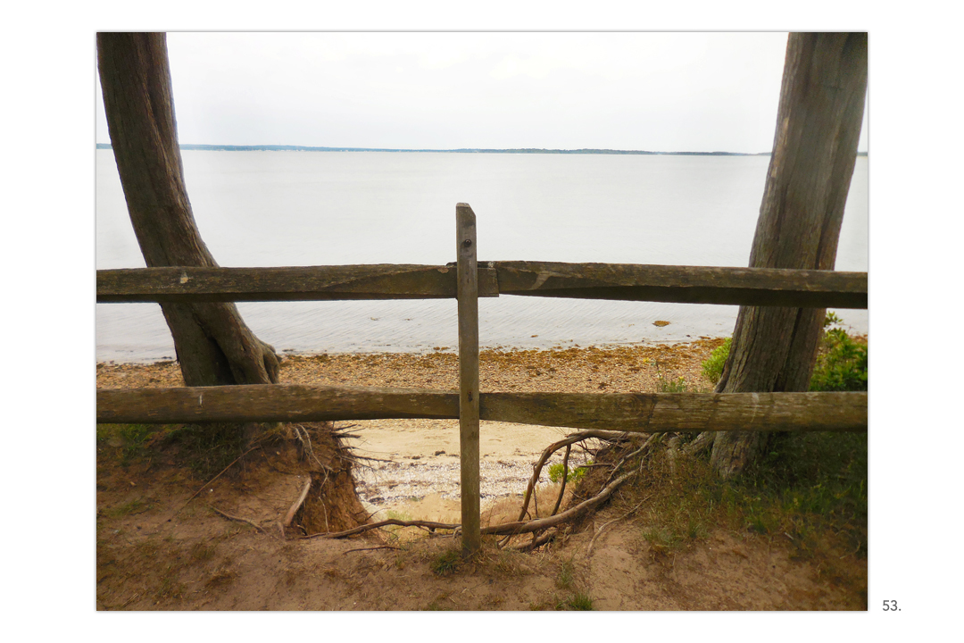 Cedar Point Bluff Fence