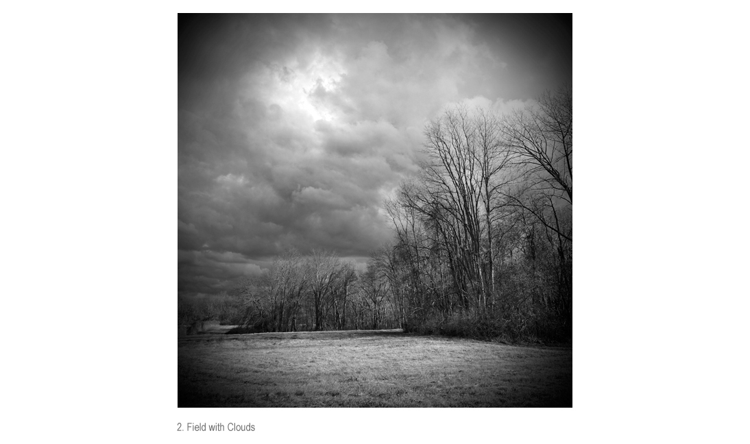 Field with Clouds