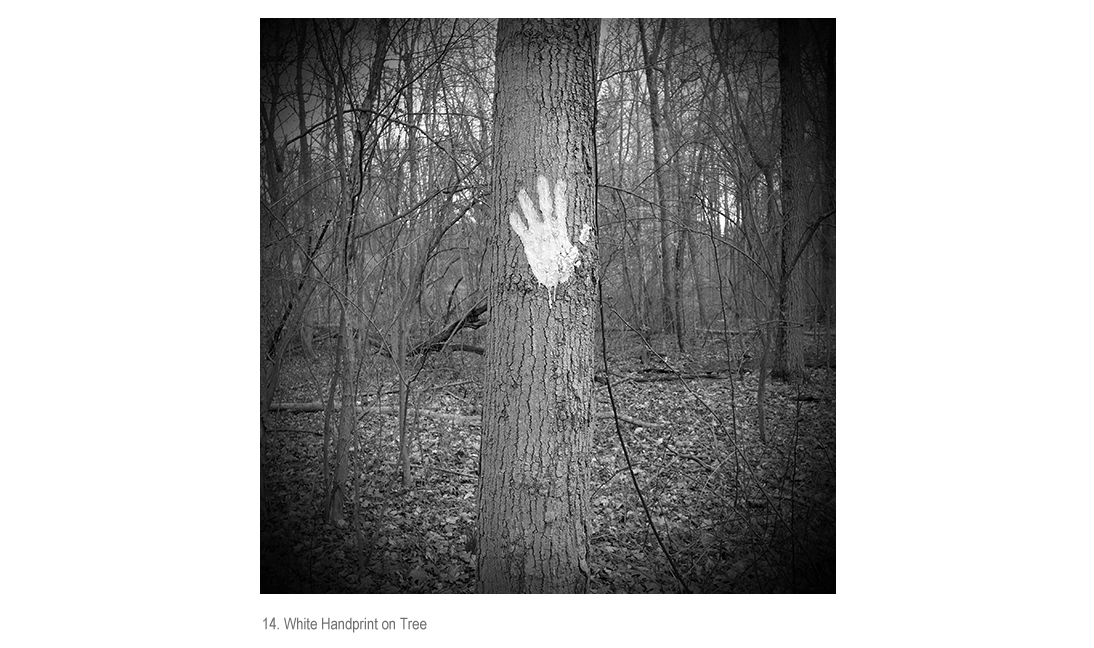 Handprint on Tree