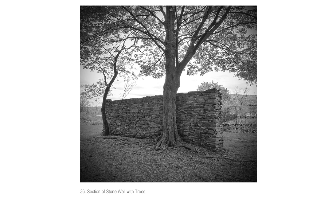 Section of Stone Wall with Trees