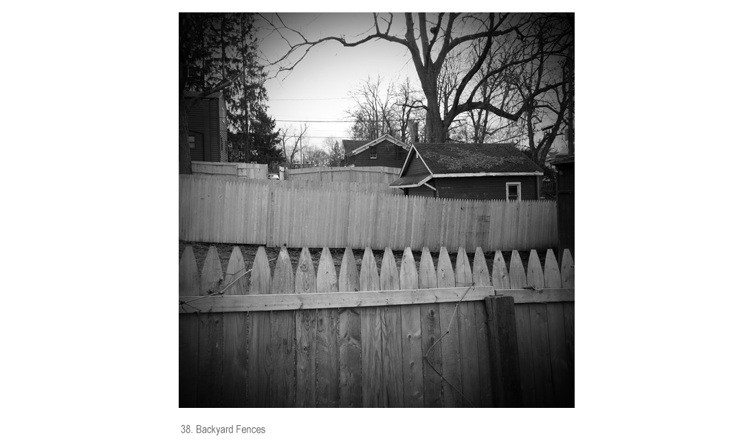 Backyard Fences