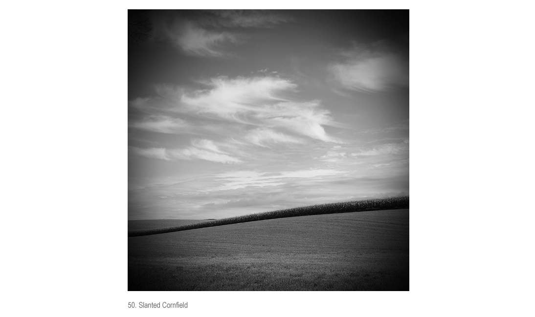 Cornfield on Slant