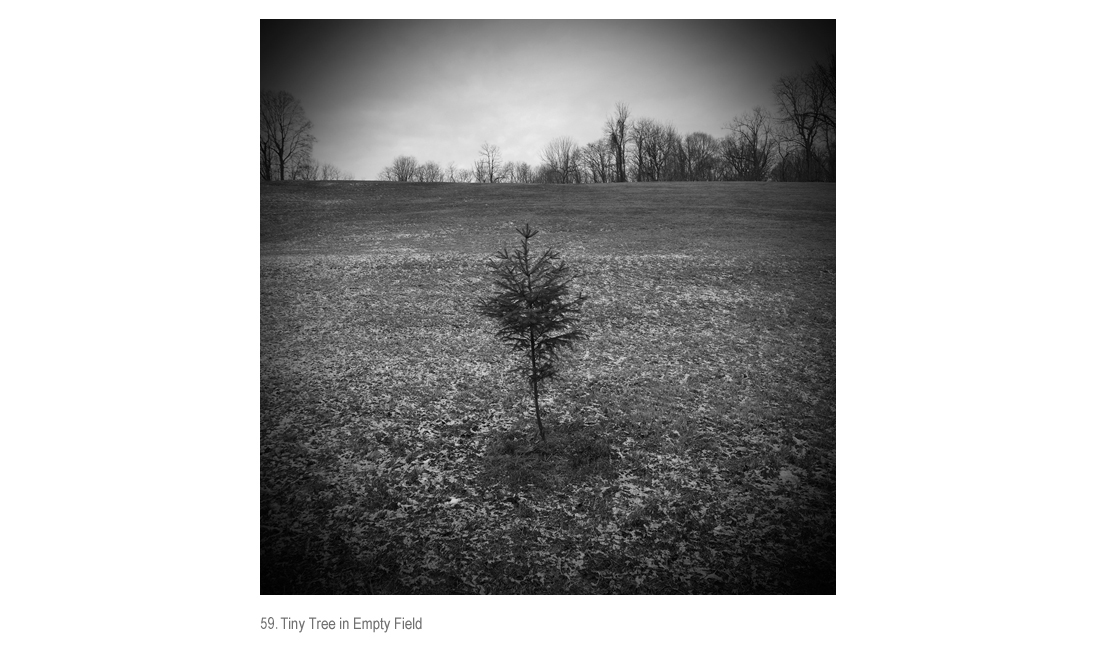 Tiny Tree