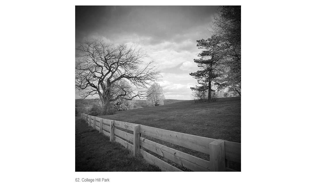 Fence with Flowering Trees